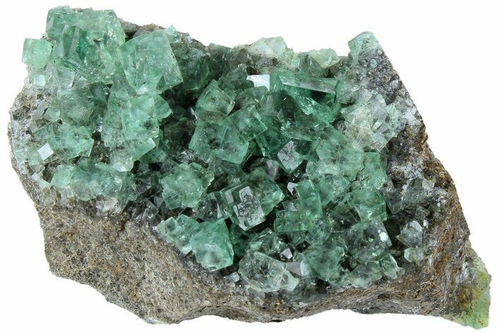 Fluorescent Green Fluorite Cluster - Rogerley Mine, England #184604